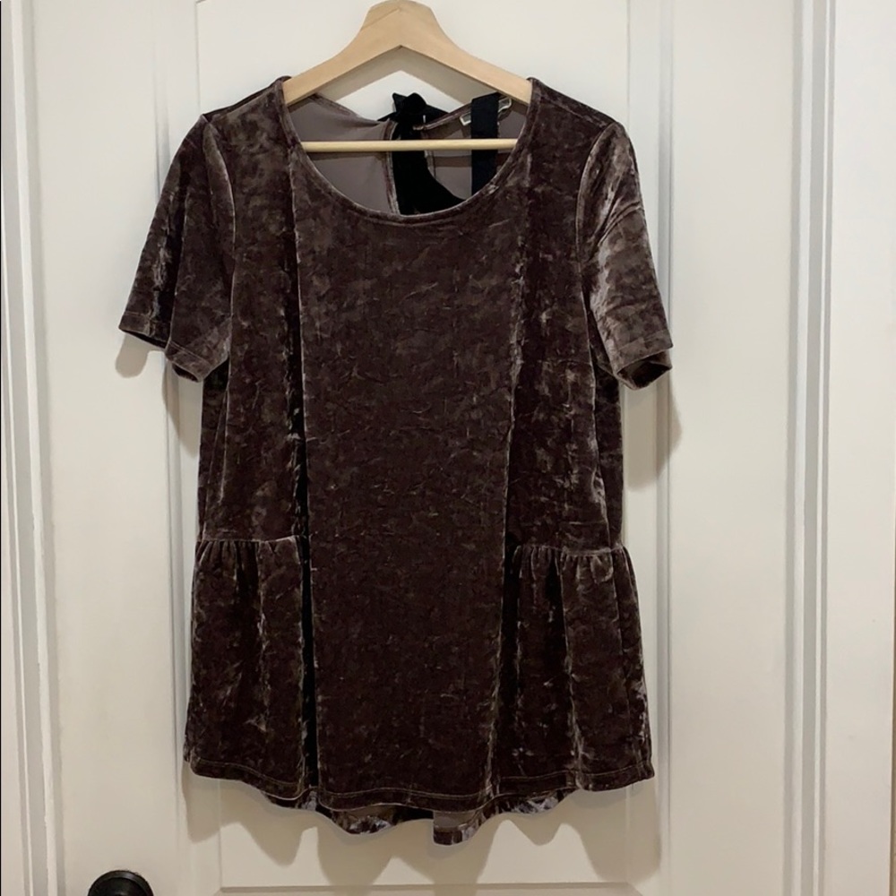 Pleione velvet top